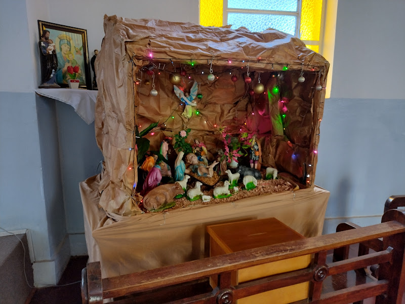 Presepio São Tomás de Aquino