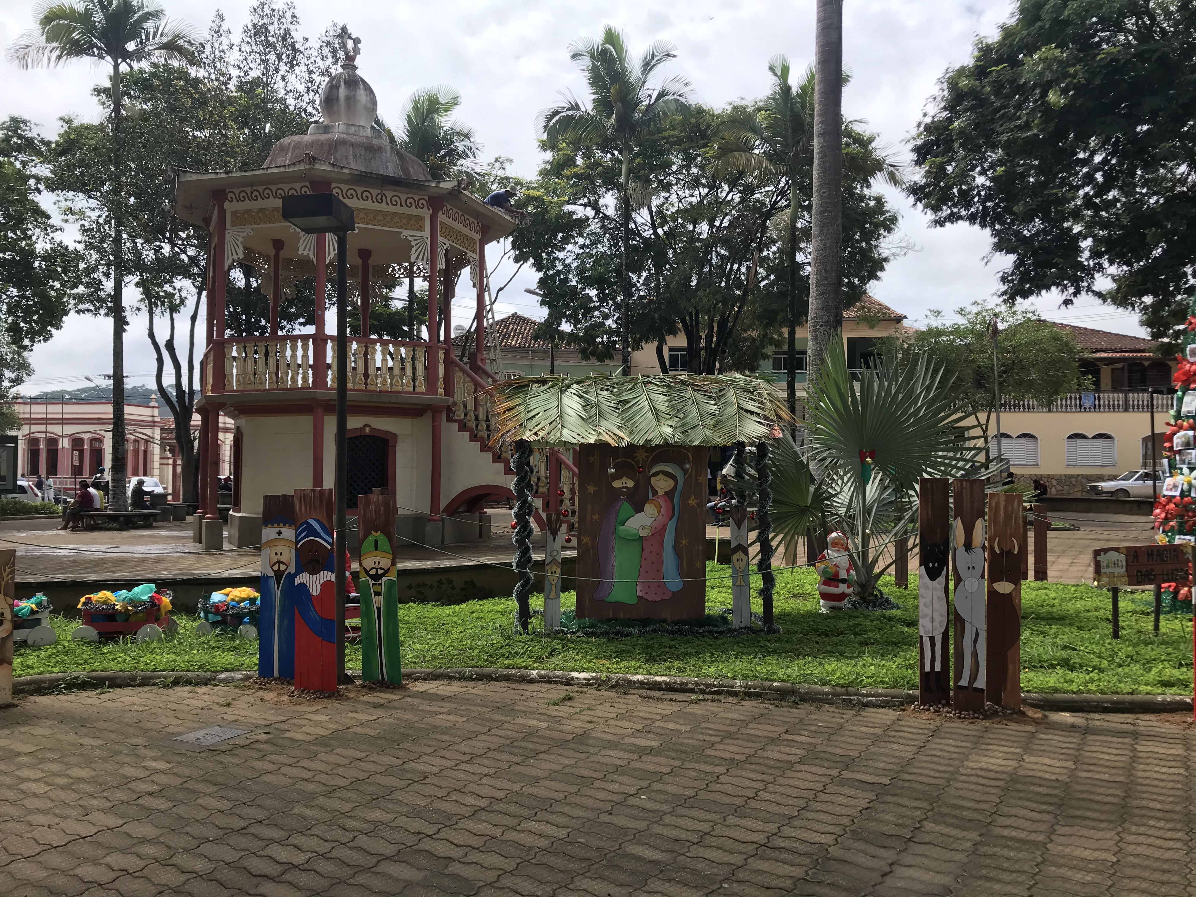 Piranga SandraSouza 05dez2020