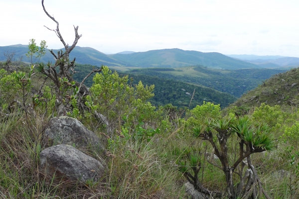 1-vista-do-alto-da-serra-e-de-sua-vegetacaoC4D4992D-EA97-DC5A-8B0A-50F1278863E9.jpg