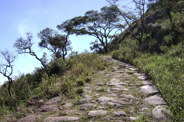 caminho-calcado-que-denomina-a-serra7016179A-26EF-EBA9-723A-87F3FF2EC519.jpg