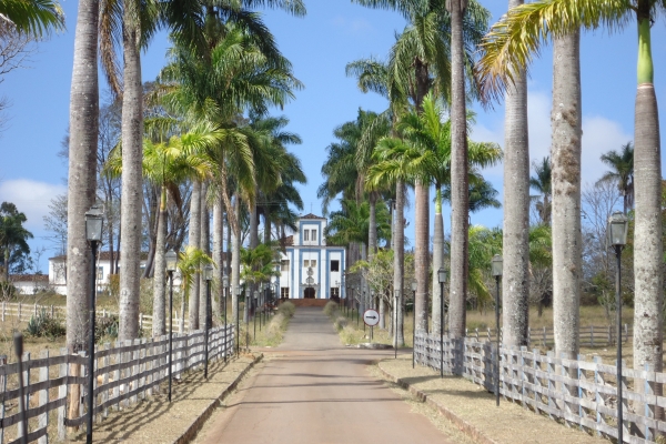 caminho-de-acesso-a-edificacao-principalBF592BB8-BE14-BE72-C81F-A772EE1439C5.jpg